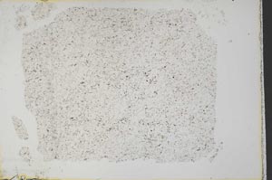 Plane Polarized, S33269