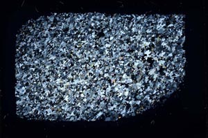 Cross Polarized, S33282