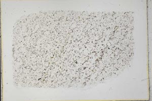 Plane Polarized, S33282