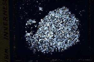 Cross Polarized, S33283