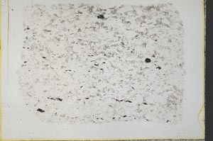 Plane Polarized, S33284