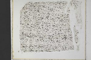 Plane Polarized, S33290