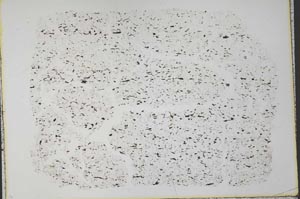 Plane Polarized, S33302