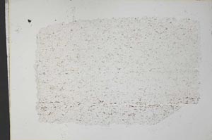 Plane Polarized, S33303