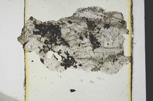Plane Polarized, S33312