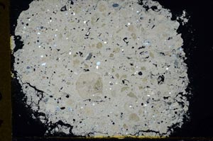 Cross Polarized, S33329