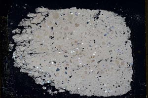 Cross Polarized, S33329/A