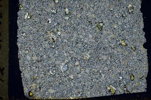 Cross Polarized, S33331