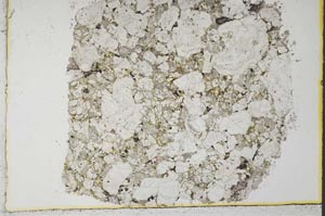 Plane Polarized, S33333