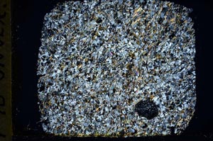 Cross Polarized, S33335