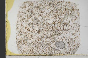 Plane Polarized, S33335