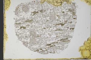 Plane Polarized, S33338