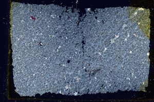 Cross Polarized, S33341