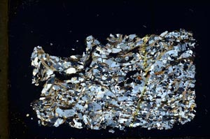 Cross Polarized, S33342