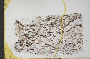 Plane Polarized, S33342