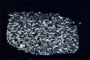 Cross Polarized, S33343