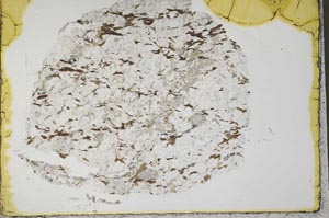 Plane Polarized, S33344