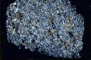 Cross Polarized, S33346