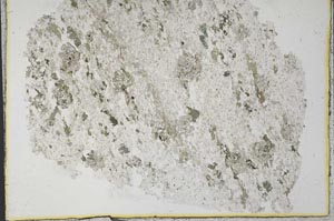 Plane Polarized, S33346