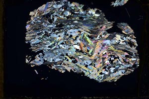 Cross Polarized, S33347