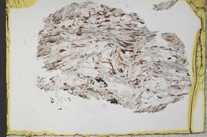 Plane Polarized, S33347