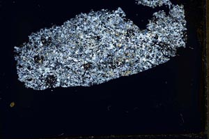 Cross Polarized, S33348