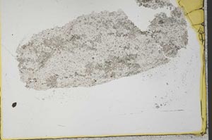 Plane Polarized, S33348