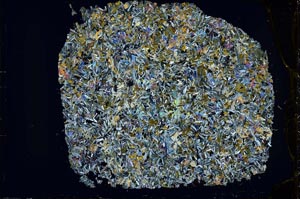 Cross Polarized, S33350