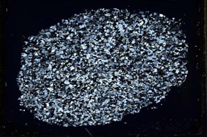 Cross Polarized, S33351