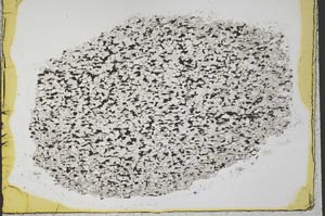 Plane Polarized, S33351