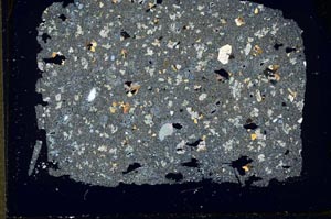 Cross Polarized, S33352