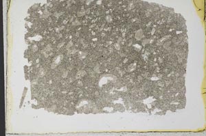 Plane Polarized, S33352