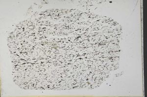 Plane Polarized, S33362
