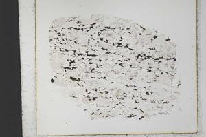 Plane Polarized, S33364