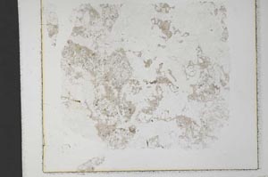 Plane Polarized, S33368