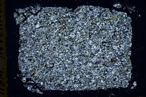 Cross Polarized, S33370