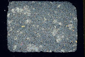 Cross Polarized, S33373