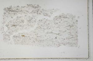 Plane Polarized, S33378