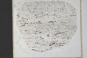 Plane Polarized, S33379