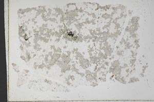 Plane Polarized, S33385