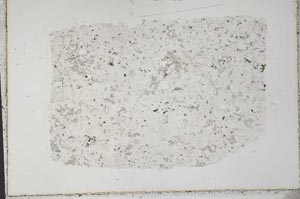 Plane Polarized, S33386