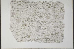 Plane Polarized, S33391