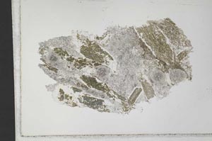 Plane Polarized, S33392