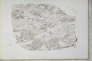 Plane Polarized, S33395