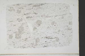 Plane Polarized, S33396
