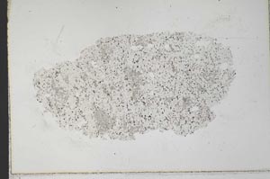 Plane Polarized, S33398