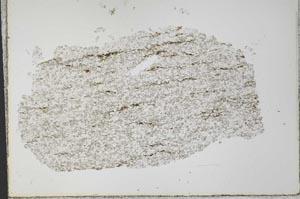 Plane Polarized, S33414
