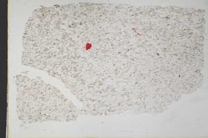 Plane Polarized, S33421