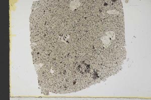 Plane Polarized, S33460