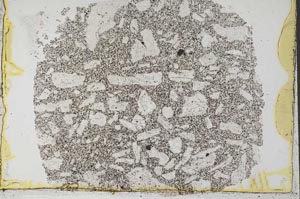 Plane Polarized, S33467